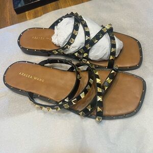 Azalea Wang slides (No Box)